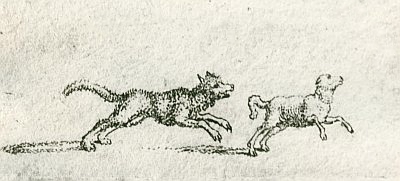 Chodowiecki and the Massacre of St Bartholomews Day - A dog is chasing a lamb